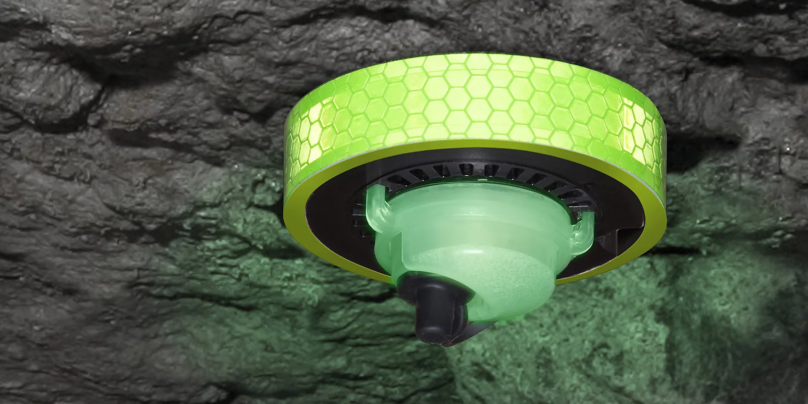 FOGLight